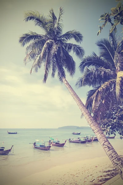 Vintage toned palm trees on a beach, summer background. — Stock Photo, Image