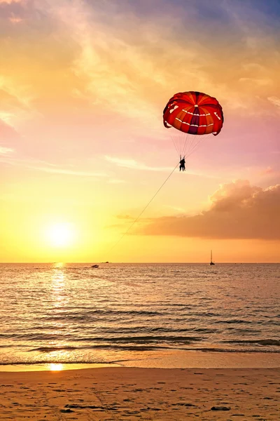 Zomer briefkaart, paraglider over strand bij zonsondergang. — Stockfoto