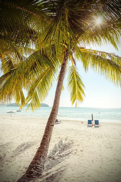 Retro stilize Cennet plaj, Yaz Kartpostal. — Stok fotoğraf