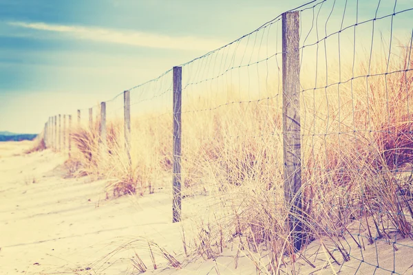 Забор на дюне . — стоковое фото