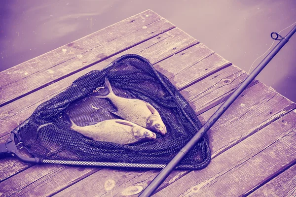 Orate toniche vintage su una rete da pesca . — Foto Stock