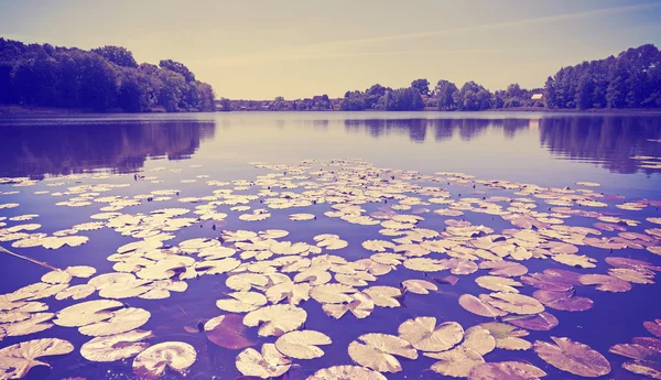 Vintage toned lake view with water lilies. — Stock Photo, Image