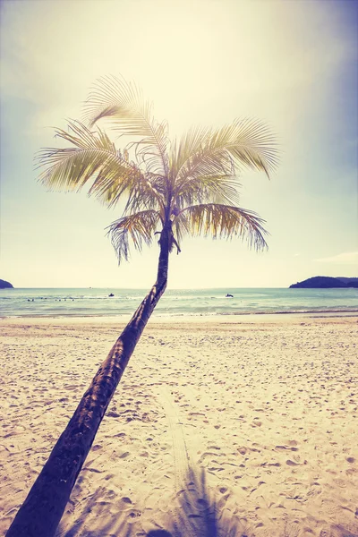 Praia tropical estilizada vintage com palmeira ao pôr do sol . — Fotografia de Stock