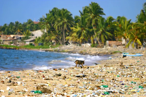 Garbage on a beach left by tourists. — Stock Photo, Image