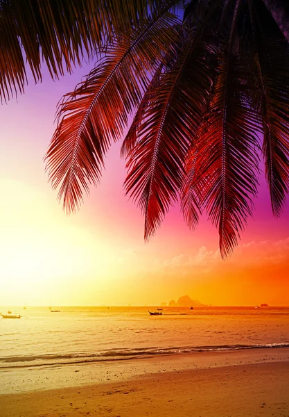Schöner Sonnenuntergang über dem Strand, Sommerurlaub Hintergrund. — Stockfoto