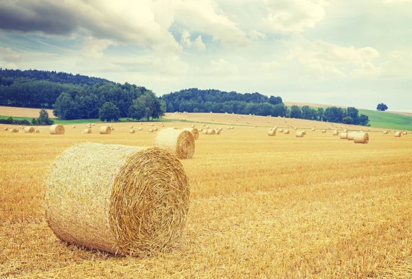 Retro toned harvested field with hay bales. — Zdjęcie stockowe
