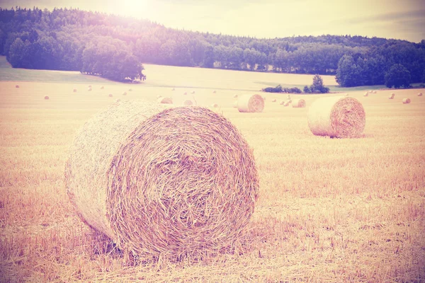 Vintage instagram toned harvested field with hay bales. — Stock Photo, Image