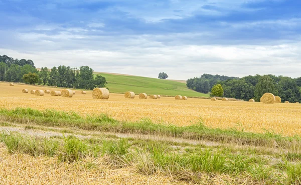 Rural landscape with field path and hay bales. — Stock fotografie