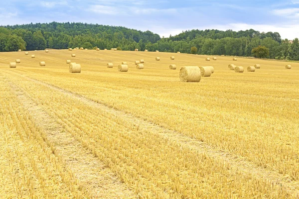 Rural landscape with field path and hay bales. — Stock Fotó