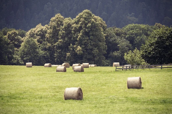 Retro toned summer field with hay bales. — 图库照片