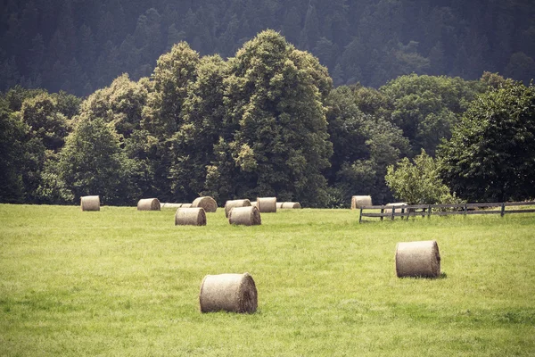 Champ d'été tonique rétro avec balles de foin . — Photo