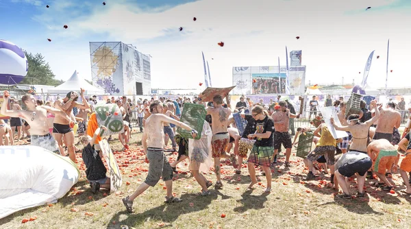 Tomato fight on the 21th Woodstock Festival Poland — Stockfoto