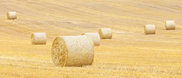 Panoramisch zicht van hooibalen op geoogste veld. — Stockfoto