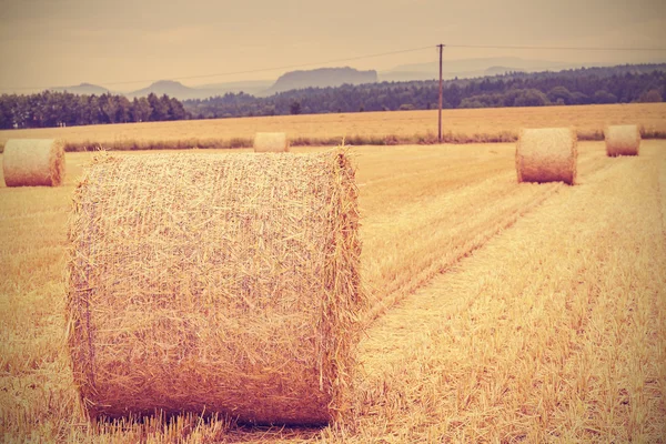 빈티지 톤 건초 bales, 필드의 얕은 깊이. — 스톡 사진