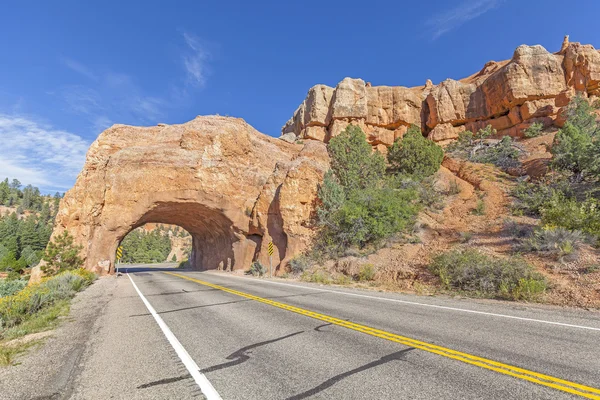 Natürliche Bogen Straßentunnel auf der malerischen Nebenstraße 12, utah, usa. — Stockfoto