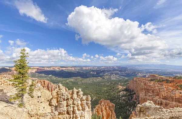 Formacje skalne w Parku Narodowego Bryce Canyon, Stany Zjednoczone Ameryki. — Zdjęcie stockowe