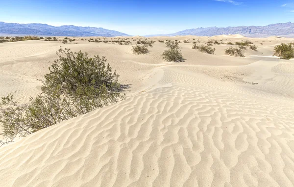 Sanddynerna i death valley national park, Kalifornien, usa. — Stockfoto