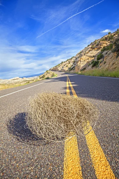 Tumbleweed op een lege weg, reizen concept foto. — Stockfoto