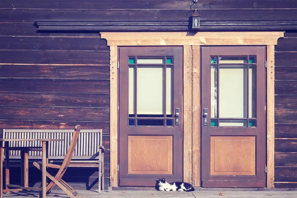 Foto vintage tonificada de un gato delante de la puerta de madera —  Fotos de Stock