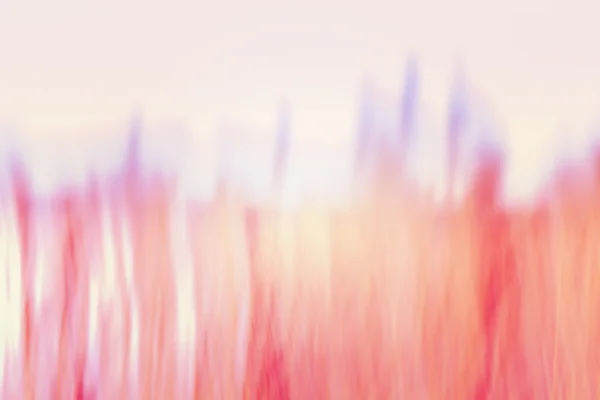 Abstrakter Hintergrund aus bewegungsverschwommenem Schilf. — Stockfoto