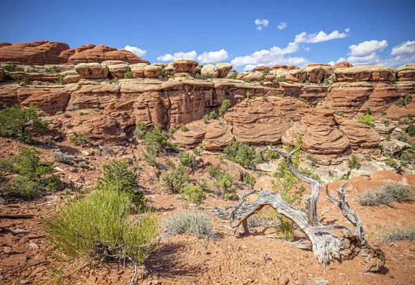 Dziki krajobraz w Canyonlands National Park, Utah, Stany Zjednoczone Ameryki. — Zdjęcie stockowe