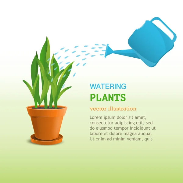 Arrosage des plantes dans un pot — Image vectorielle