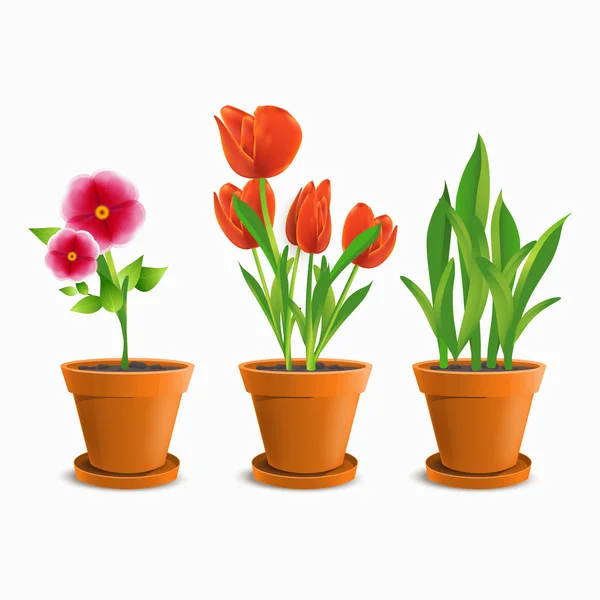 Flores gráficas em vasos — Vetor de Stock