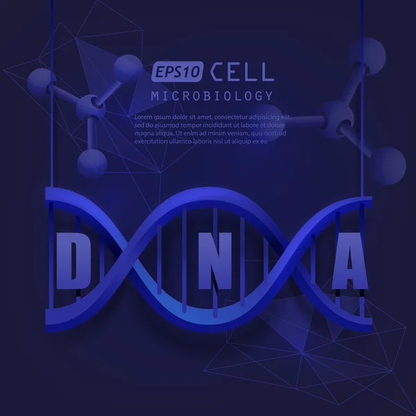 Konstrukce DNA molekulu — Stockový vektor