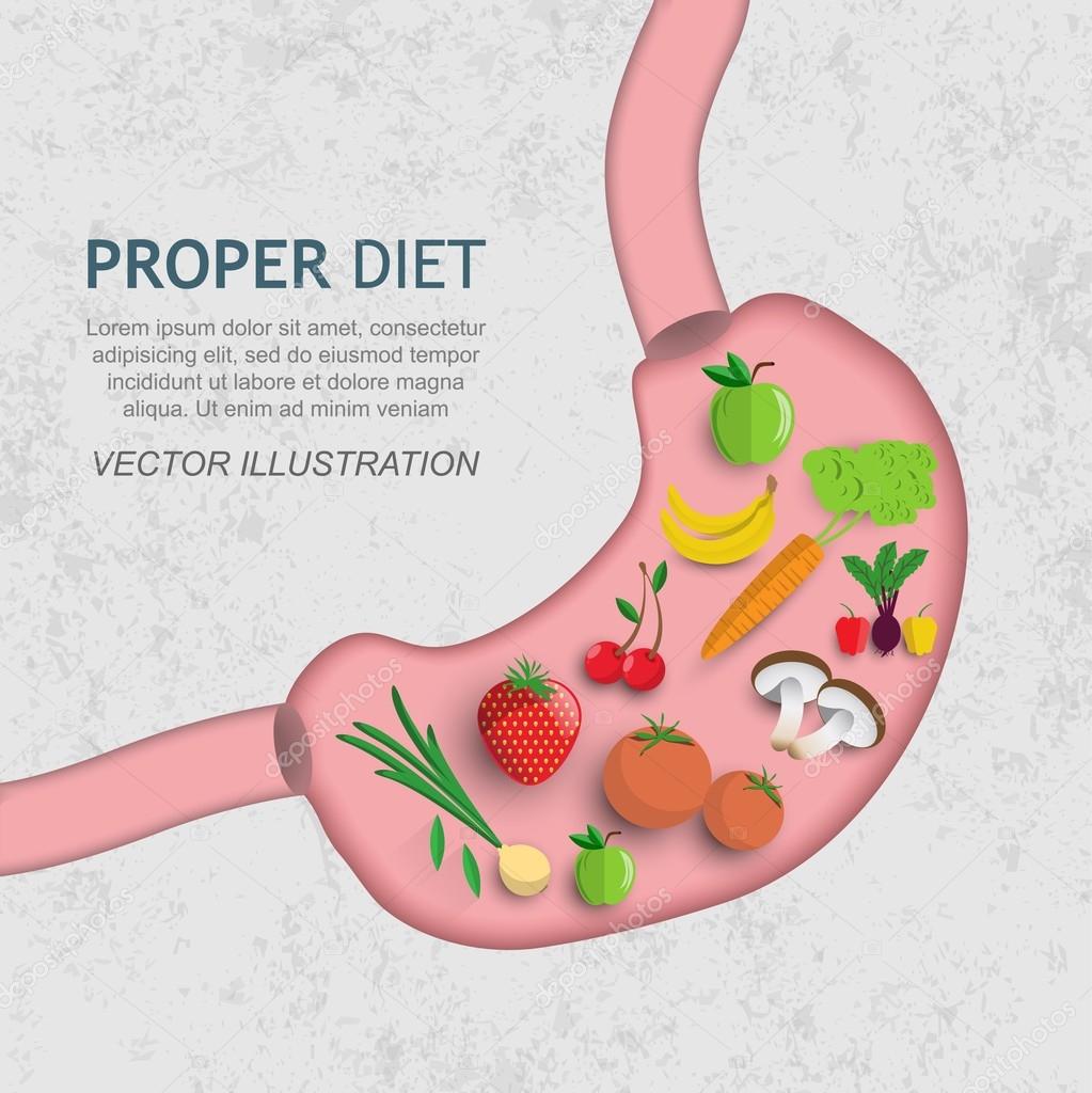 Vegetables and fruits in the stomach, nutrition clipart