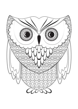 dantelli baykuş kuş