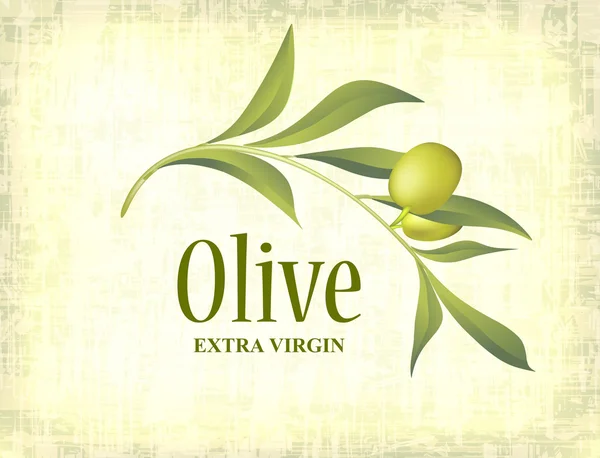 Étiquette d'olive pour emballage — Image vectorielle