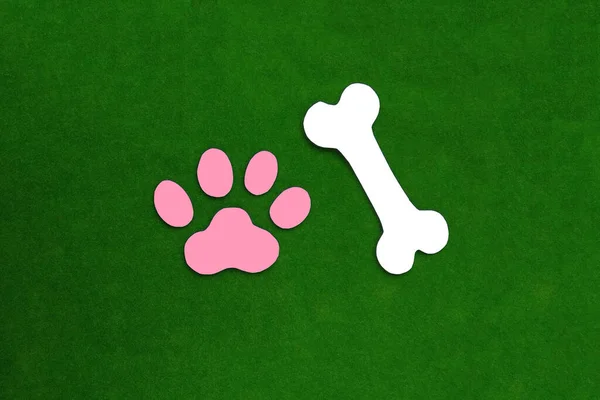 Bone White Paw Print Pink Green Background Pet Veterinary Medicine — Stock Photo, Image