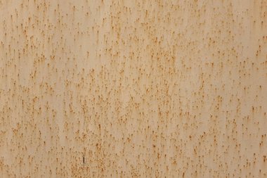 Pas desenli demir yaprağının dokusu. Yapı, mimari.