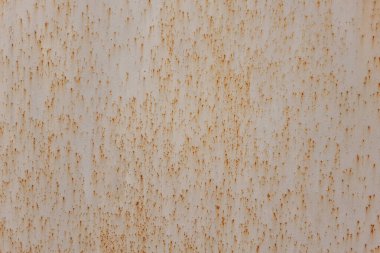 Demir yaprağının dokusu aşınmaya tabidir. Binanın bir kısmı..