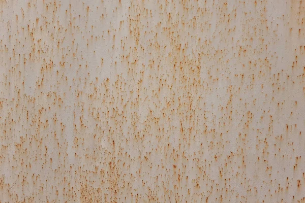 Demir yaprağının dokusu aşınmaya tabidir. Binanın bir kısmı..