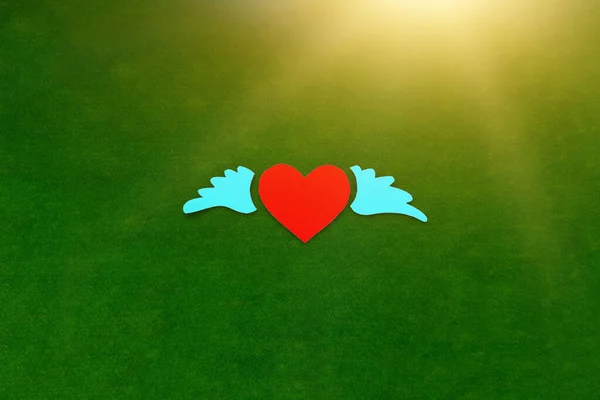 心は赤 2つの翼は緑の背景に青色です 高い関係愛 — ストック写真