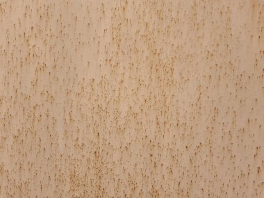 Korozyon izleri taşıyan boyanmış demir bir yaprağın dokusu. Dış yapının bir parçası.