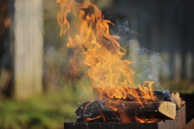 Kret üzerinde ahşap şöminede yanan alev. Ateşe günlüğe kaydeder. C
