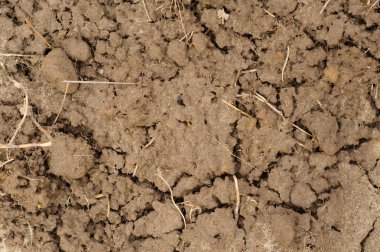 Toprak dokusu, çatlak arkaplan