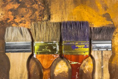 Oil paint brushes on wood painted background clipart