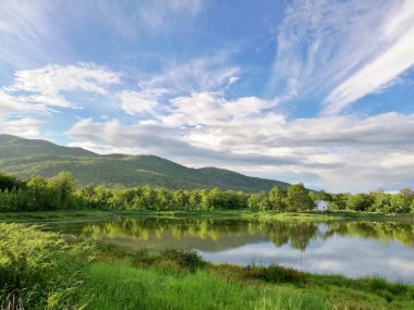 Doğal ağaç ve gökyüzü gölde bir yansımasıdır