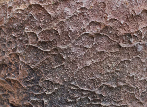 Pared de hormigón marrón fondo pared abstracta — Foto de Stock