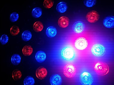 Kırmızı ve mavi bokeh ışıkları karanlık