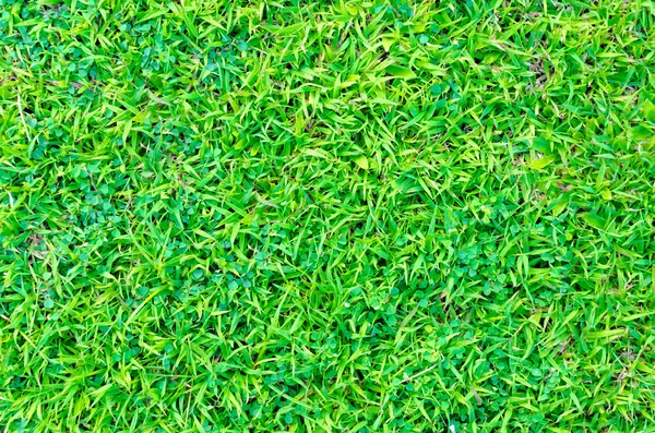 人工的绿草的纹理，为背景的 — 图库照片
