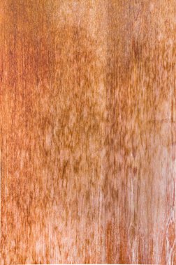 Yükseklik çözünürlük doğal ağaç doku arka plan