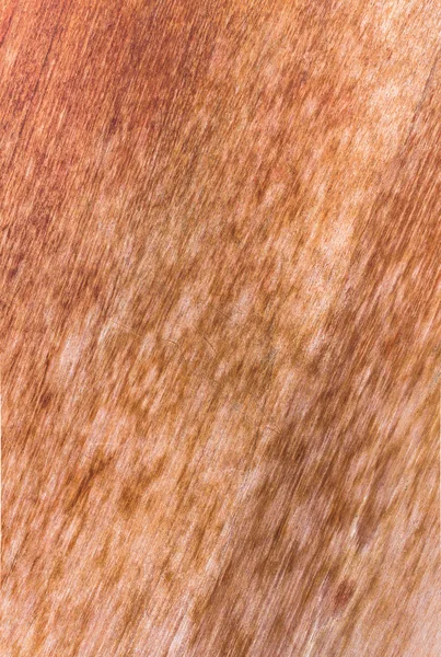 Fondo de textura de grano de madera natural de alta resolución — Foto de Stock