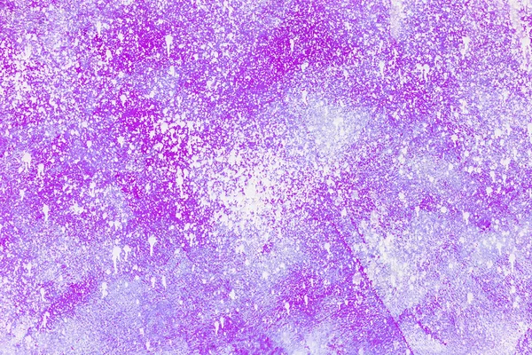 Velho placa roxa envelhecido cor da neve textura da pintura — Fotografia de Stock