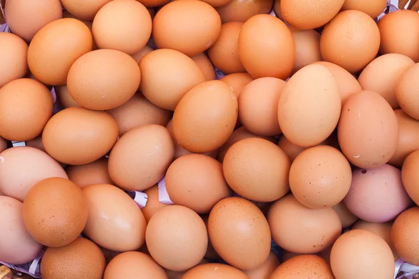 Chicken eggs in a basket isolate on white background — Stock Photo, Image