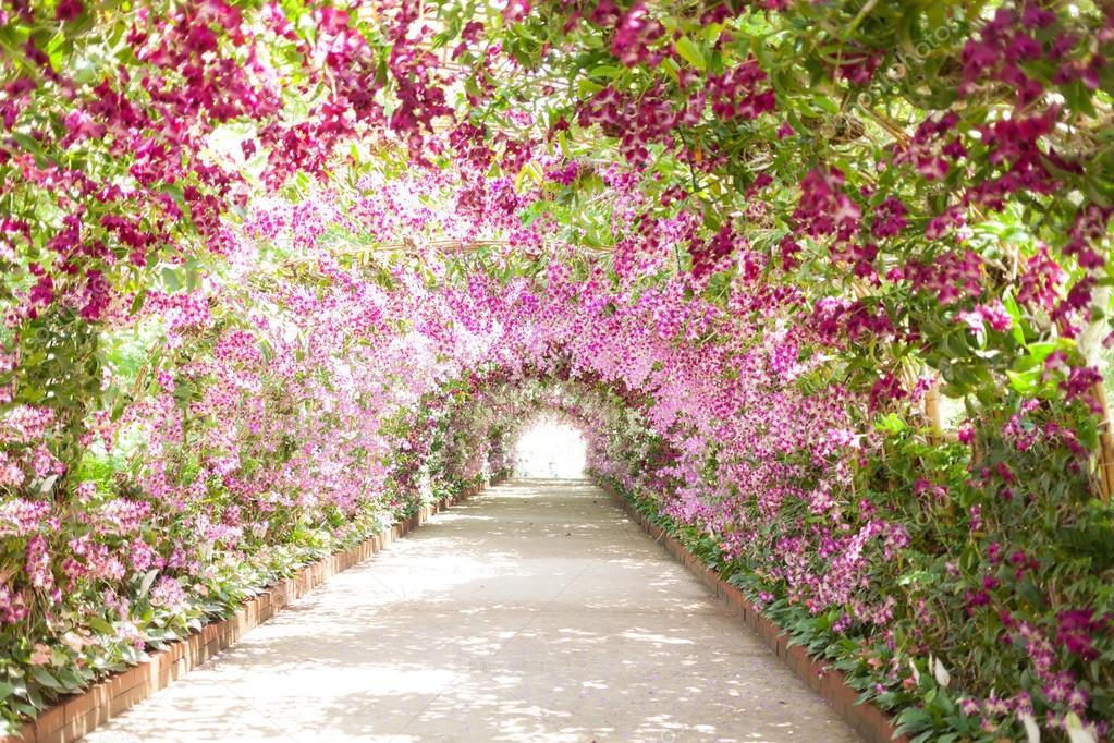 植物園写真素材 ロイヤリティフリー植物園画像 Depositphotos 植物園写真素材 ロイヤリティフリー植物園画像 Depositphotos