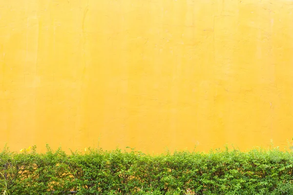 Абстрактный жёлтый фон цементной стены — стоковое фото